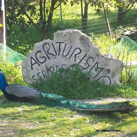 Serras D'ala Siamaggiore